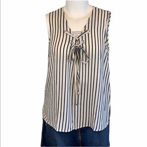 Plus Size Zenobia Sleeveless Tunic
